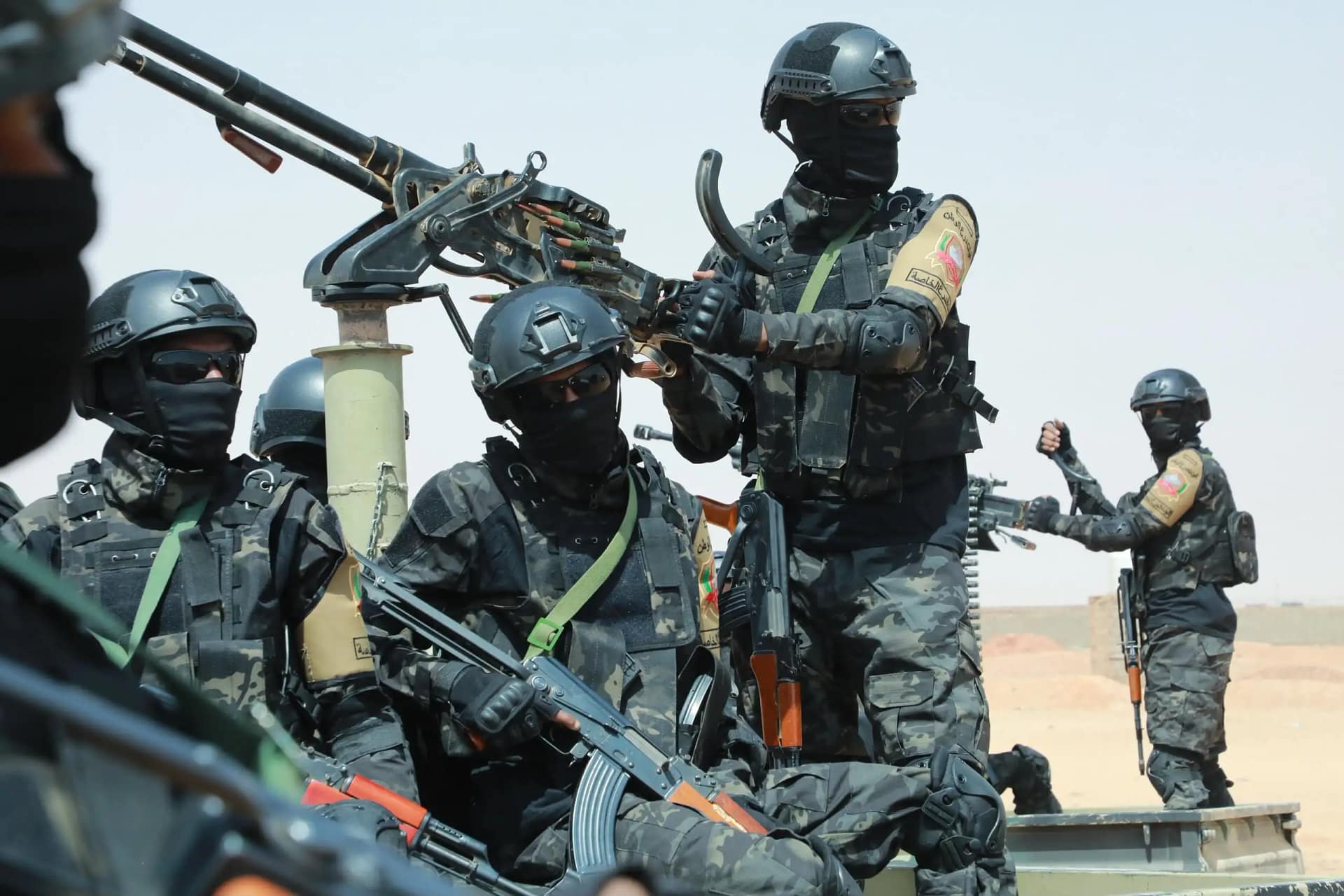 الفرقة الثانية 11 الفرقة الثانية درع الوطن (14)